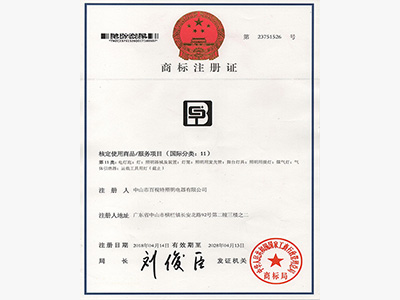 百视特-LOGO商标注册证